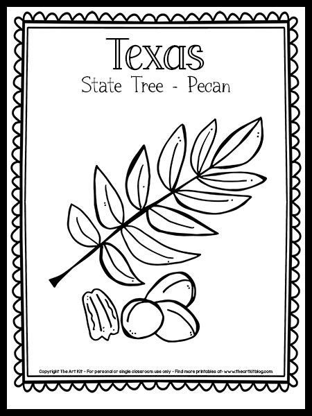 {Free Printable!} Texas State Tree Coloring Page [Pecan Tree] | Tree ...