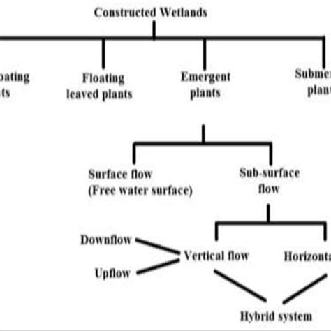 "classification of constructed wetlands for wastewater treatment ...