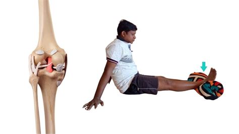 7 Best Knee Ligament Injury Treatment Exercises : Physiosunit