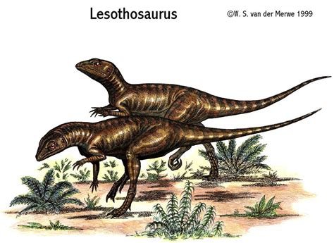 Lesothosaurus by WillemSvdMerwe on DeviantArt