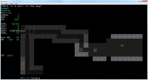 Angband Download, Review, Screenshots