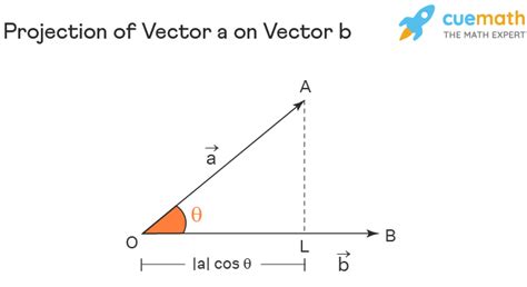 Projection Vector - Formula, Definition, Derivation, Example