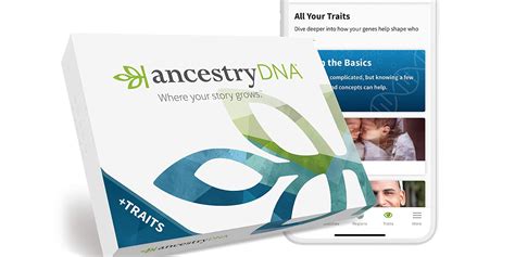 Explore your lineage: Prime Day Ancestry DNA, 23andMe, more kits from ...