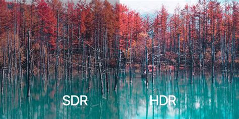 How Is HDR Different from SDR? - Formovie Global