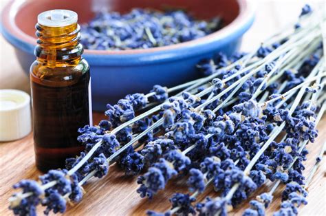 20 Lavender Essential Oil Uses That Will Change Your Life