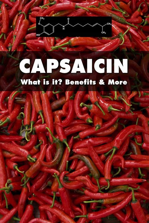 What is Capsaicin? Heat Level, Health Benefits and More - Chili Pepper ...