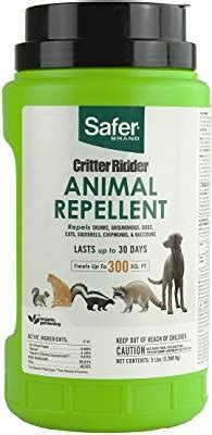 10 Best Skunk Repellents for Long-Term Control