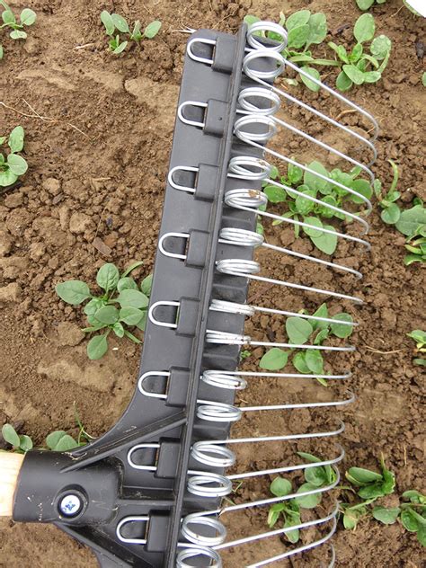 6 Essential Tools For Weeding Your Garden - Hobby Farms