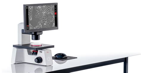 Make checking cells simple with Mateo TL digital microscope from Leica ...