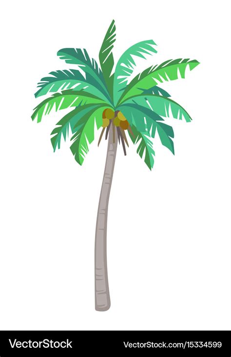 Coconut palm tree Royalty Free Vector Image - VectorStock