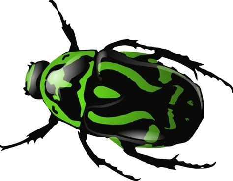 Green Beetle clip art Free vector in Open office drawing svg ( .svg ...