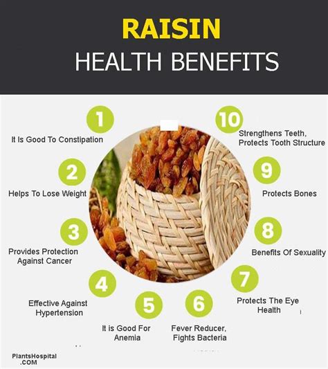 11 Incredible Health Benefits Of Raisins (Thompson Seedless)