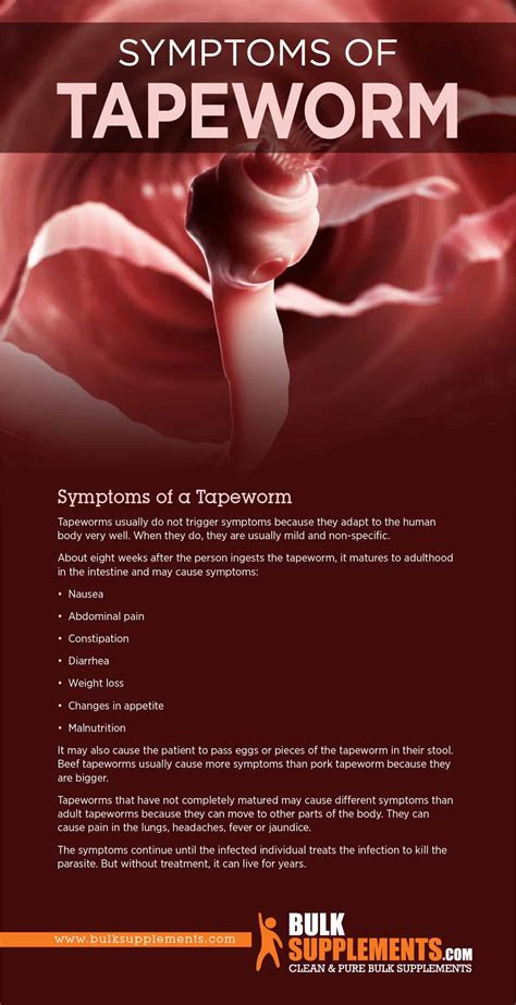 Taeniasis (Tapeworm): Causes, Symptoms & Treatment