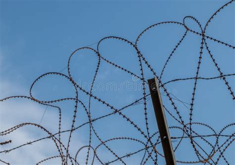 Barbed Wire Fence Along The Korean DMZ Stock Image - Image of wire ...