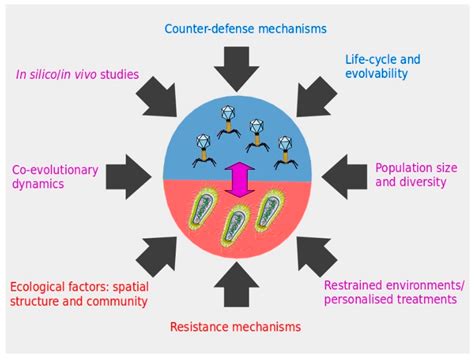 Viruses | Free Full-Text | Phage Therapy Faces Evolutionary Challenges