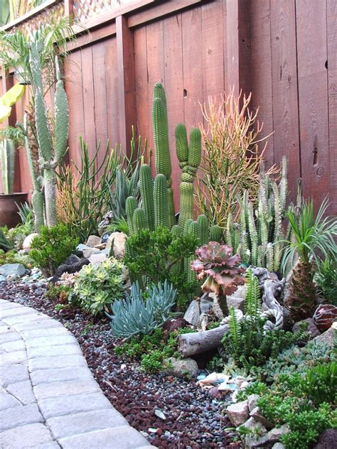 Best Ways To Makes Backyard Cactus Garden Ideas – DECOOMO