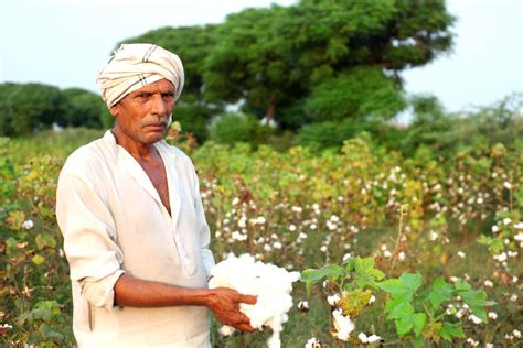 CottonConnect Trains Farmers in Sustainability, Best Practices and Business