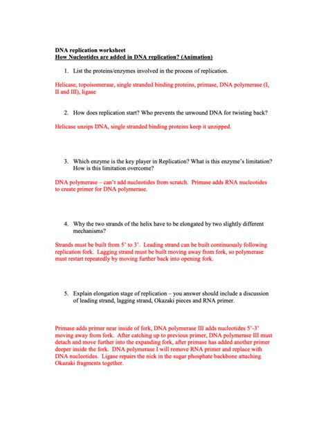 Dna Replication Worksheet Key – Zip Worksheet