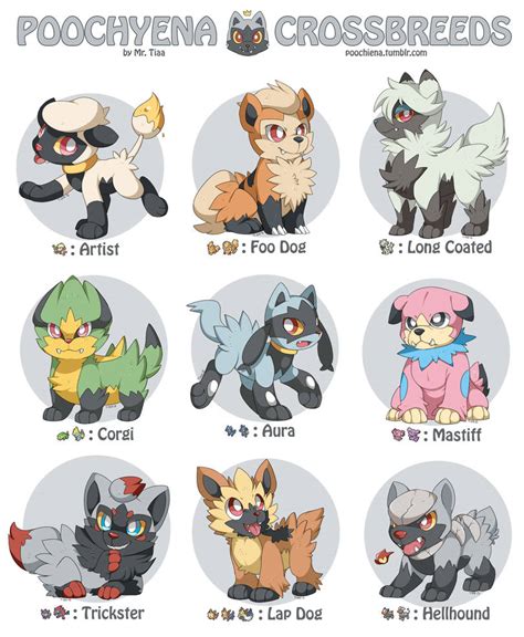 Poochyena Crossbreeds by mr-tiaa on DeviantArt