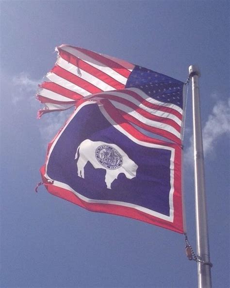 Wyoming State flag | Wyoming state, Flag, Wyoming