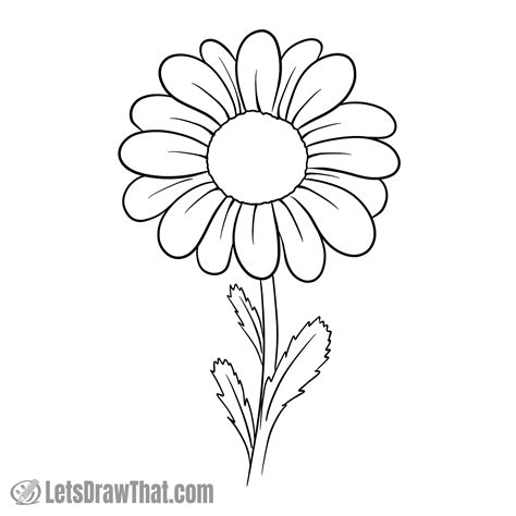 Daisy Flower Drawing Easy Step By | Best Flower Site