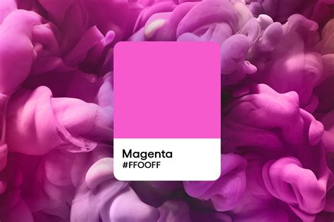 Is Magenta a Real Color? Color Codes and How to Work With It - Picsart Blog