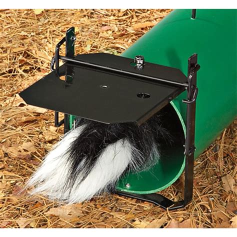 Spray - proof Skunk Trap - 175232, Traps & Trapping Supplies at ...