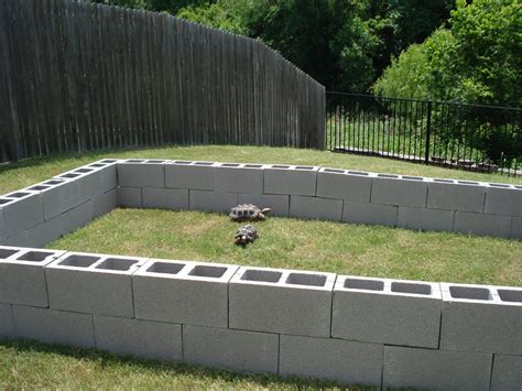 outdoor turtle habitat ideas - Google Search | Tortoise habitat ...