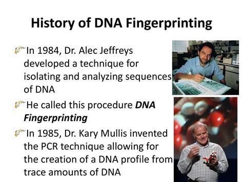 History of DNA Fingerprinting - ppt download