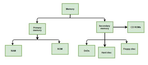 Random Access Memory (RAM)