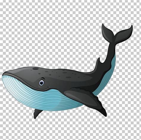 Black Whale PNG, Clipart, Animal, Black, Black Whale, Cartoon, Dolphin ...