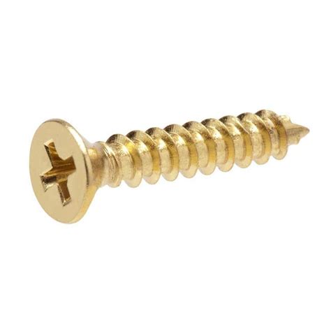 Everbilt #10 x 2-1/2 in. Phillips Flat-Head Wood Screws (2 per Pack ...