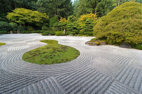 Creating a Zen garden at home - Plantura