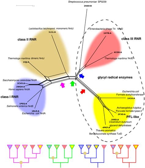 Life | Special Issue : The Origins and Early Evolution of RNA