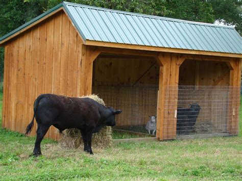 Animal Shelters | Cow house, Mini cows, Livestock shelter