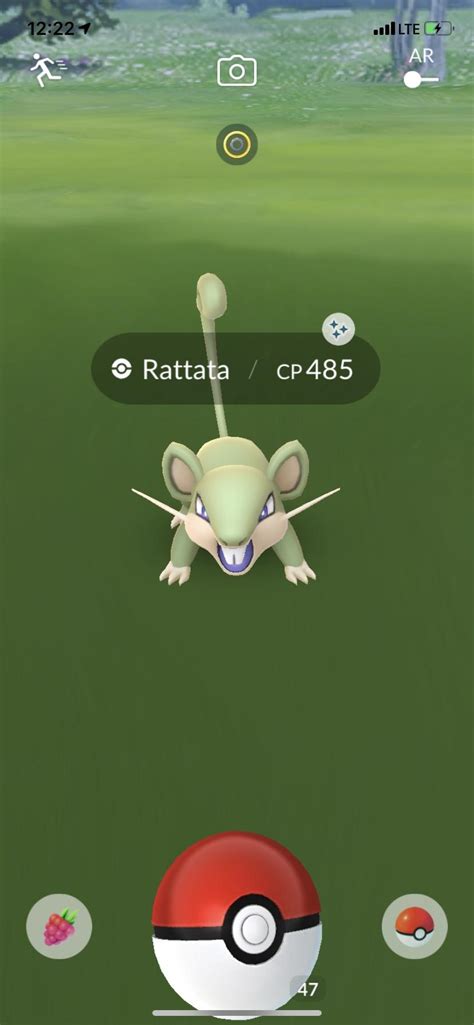 [pogo] finally got my shiny rat too : r/ShinyPokemon