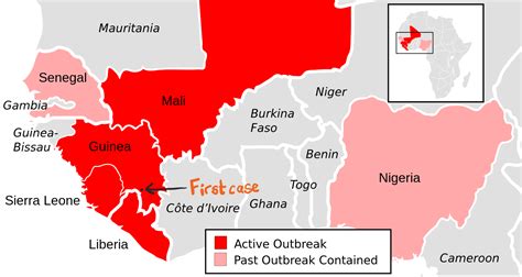 PRGC(A) DEPARTMENT OF BOTANY: Ebola : A Viral disease - threat to human ...