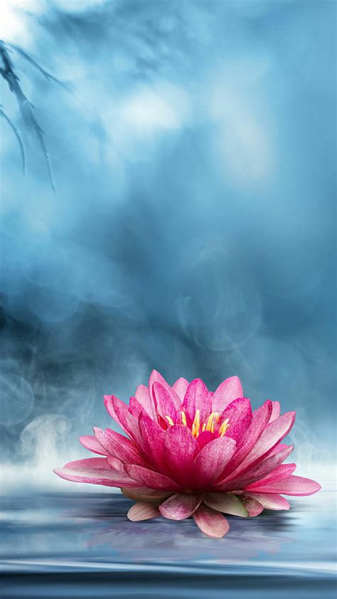 Lotus Flower Background For Android | Best Flower Site