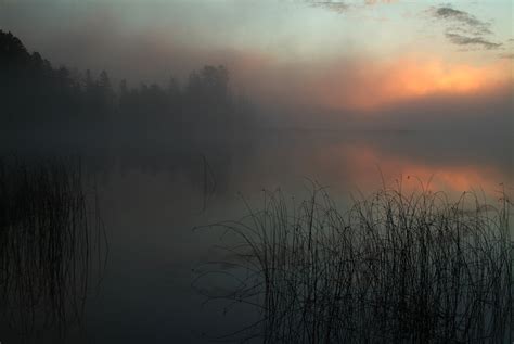 Golden-Eye Nature Photo Of The Day: Foggy Lake Sunrise