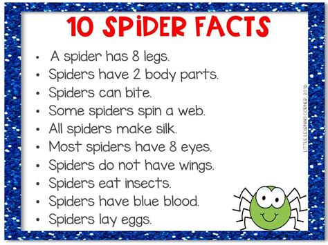 Spider facts for kids – Artofit