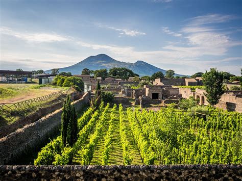 "Vesuvius and the Vineyards, Pompeii" | Rome to Amalfi Coast Tours