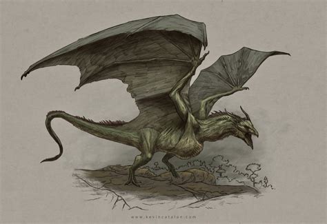 Wyvern - A Wiki of Ice and Fire