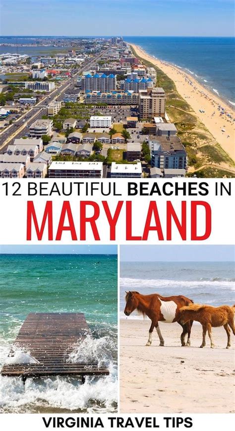 12 Best Beaches in Maryland (for a Summer Escape!)