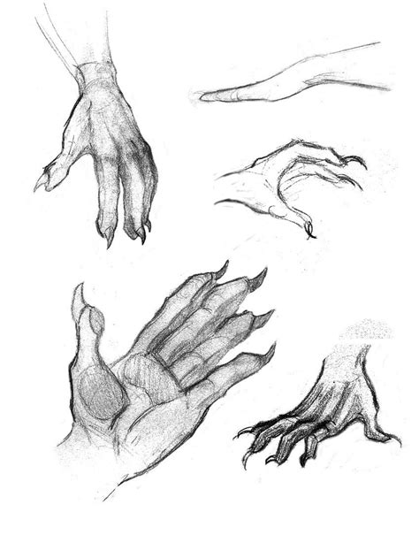 Werewolf art, Hand drawing reference, Art reference poses