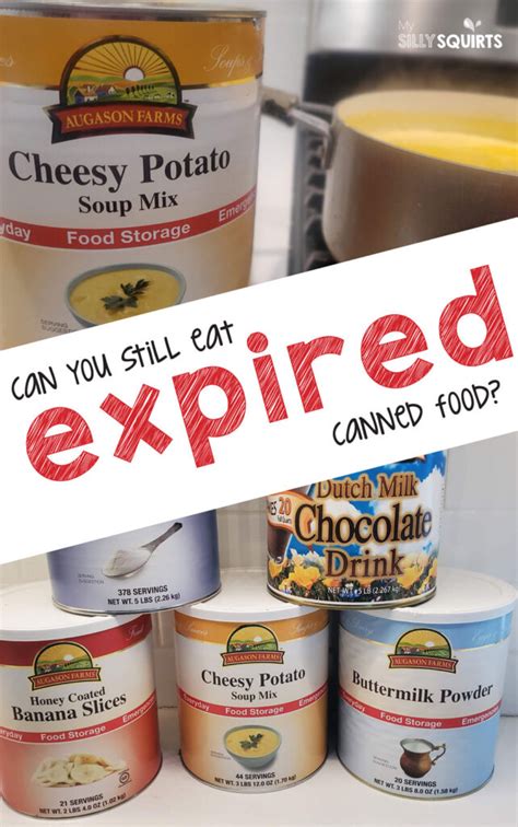 Expired canned food storage: How long is too long? - My Silly Squirts