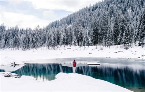 Photo Wallpaper Cold, Winter, Forest, Snow, Lake, Switzerland ...