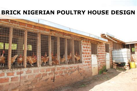 Beginner's Guide to Village or Local Chicken Farming | Poultry house ...