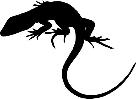 8 Lizard Silhouette (PNG Transparent) | OnlyGFX.com