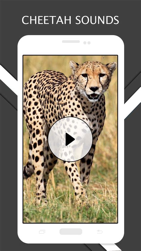 Cheetah Sound - App on Amazon Appstore