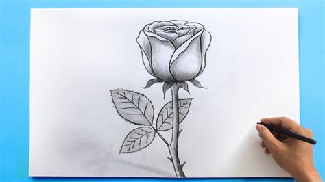 ROSE Drawing Easy 🌹| How to Draw a Rose step by step - YouTube